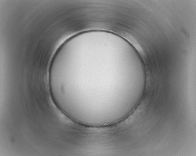 X0000115600996200911241551