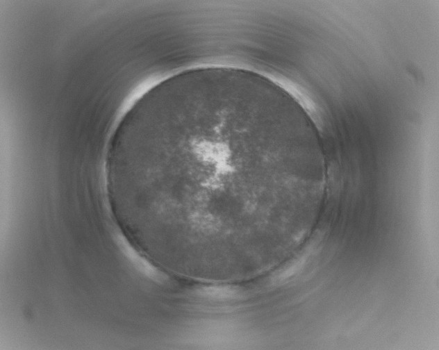 X0000115600998200911241551