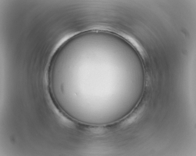 X0000115600999200911241551