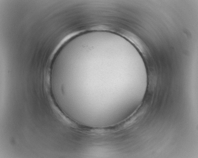 X0000115601000200911241551