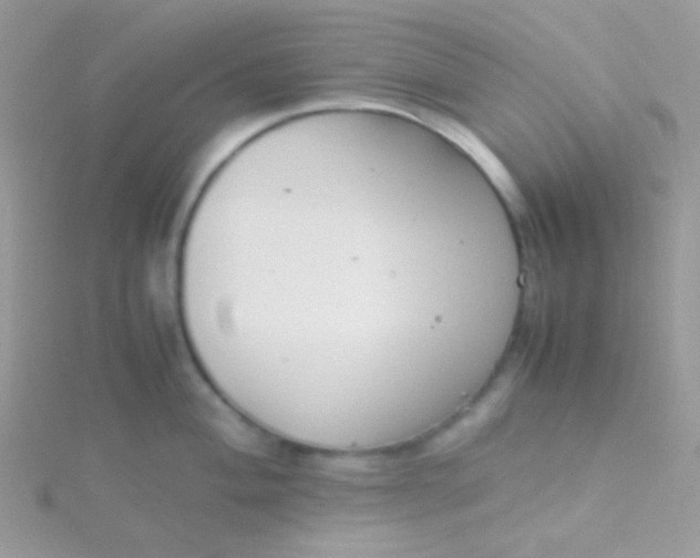 X0000115601004200911241551