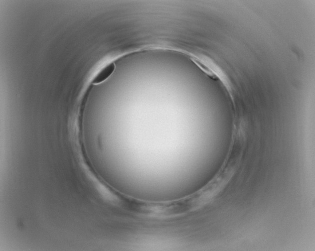 X0000115601005200911241551