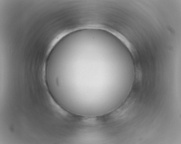 X0000115601006200911241551