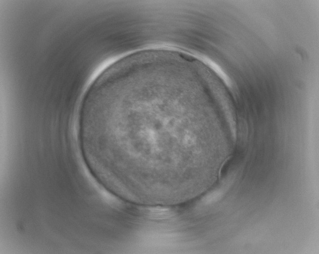 X0000115601007200911241551