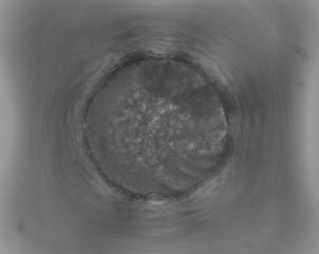 X0000115601009200911241550