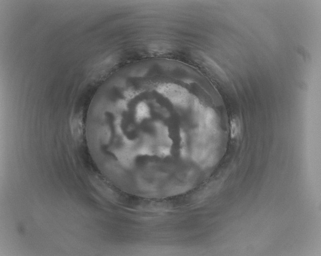 X0000115601011200911241550