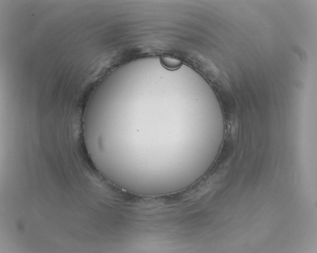 X0000115601012200911241550