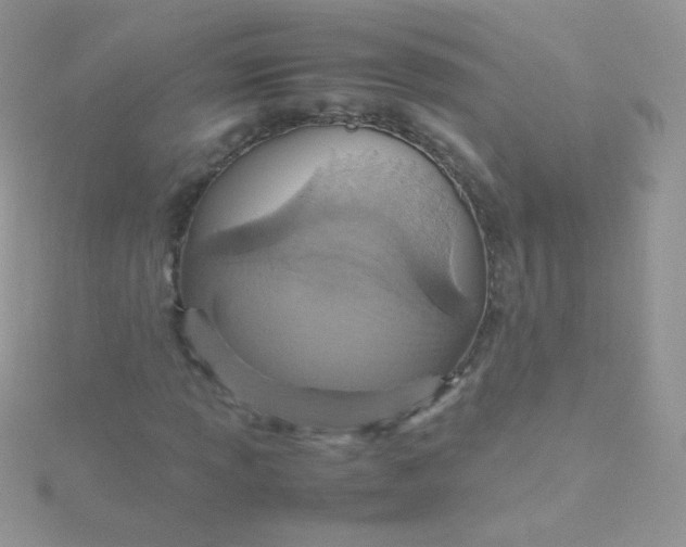 X0000115601013200911241550