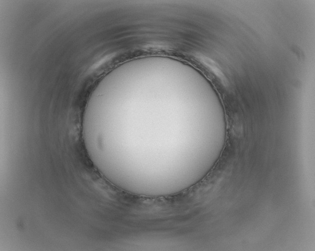 X0000115601015200911241550