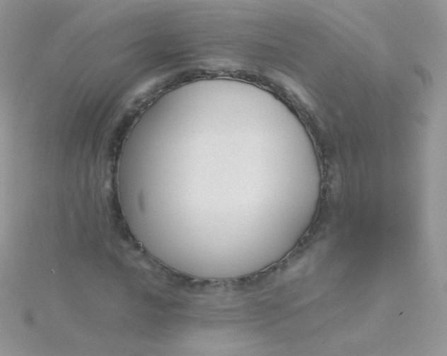 X0000115601016200911241550