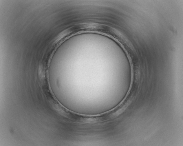 X0000115601017200911241550