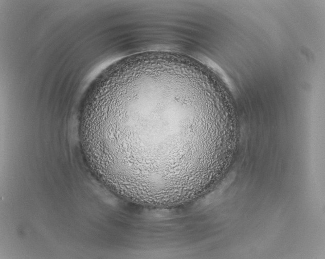 X0000115601019200911241550