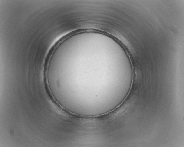 X0000115601020200911241550