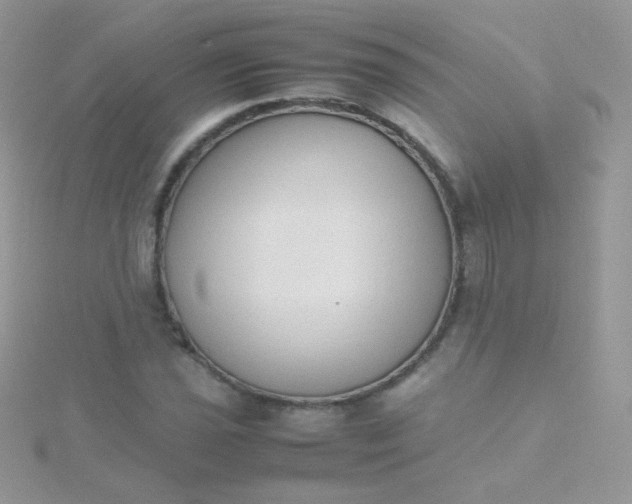 X0000115601021200911241550