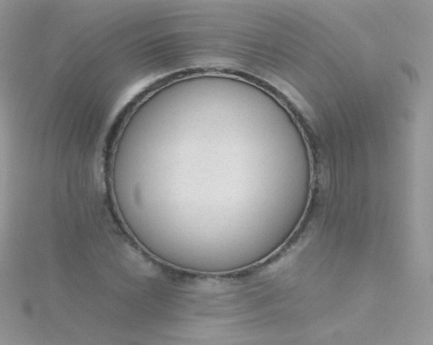 X0000115601022200911241550