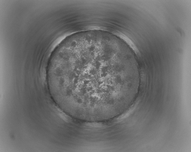 X0000115601023200911241550