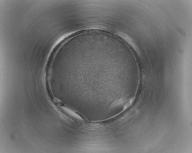 X0000115601024200911241550