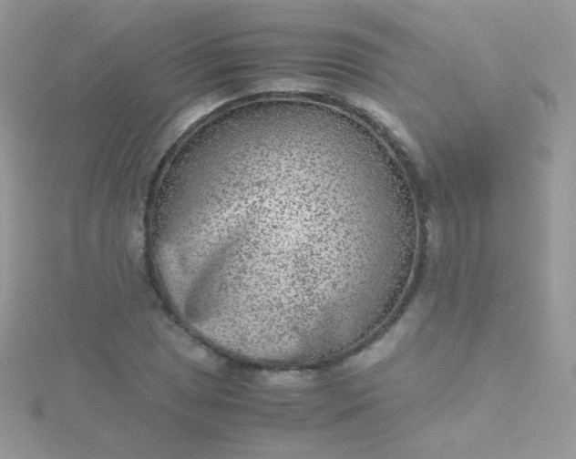 X0000115601025200911241550