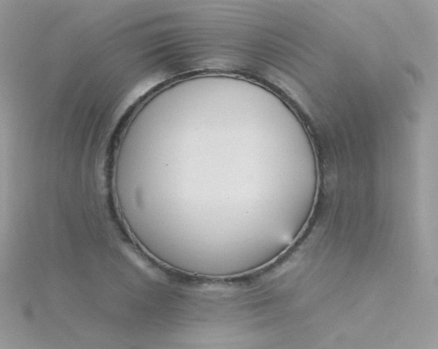 X0000115601026200911241550