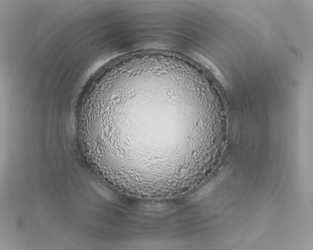 X0000115601027200911241550