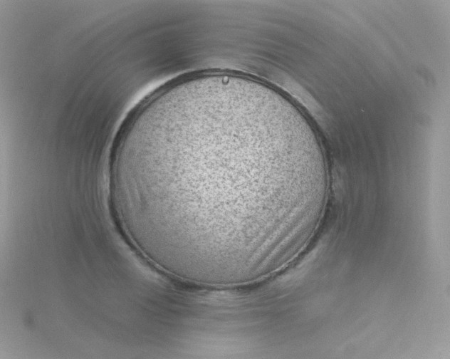 X0000115601028200911241550