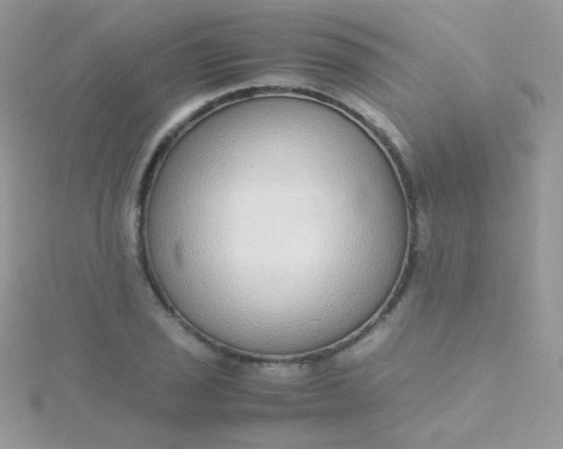 X0000115601029200911241551