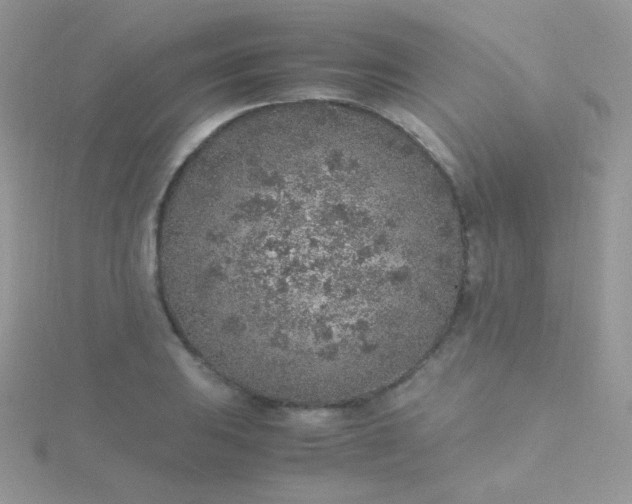 X0000115601031200911241551