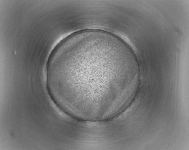 X0000115601032200911241551