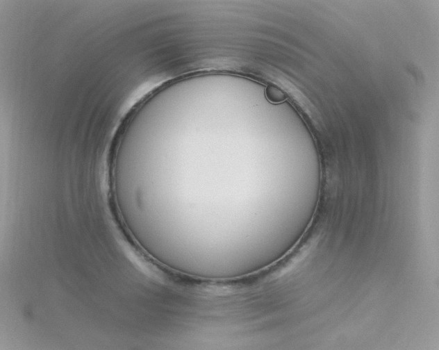 X0000115601034200911241551