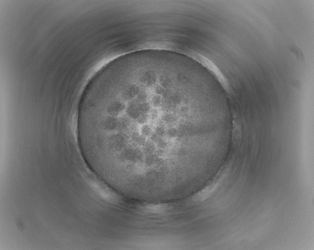 X0000115601035200911241551