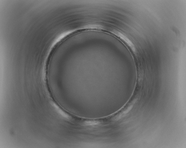 X0000115601037200911241551