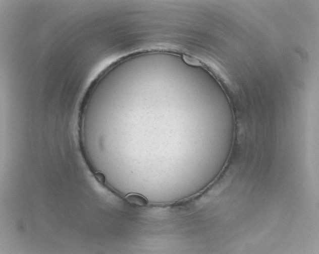 X0000115601038200911241551