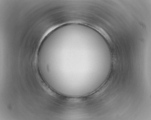 X0000115601044200911241551