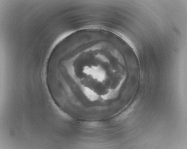 X0000115601045200911241551