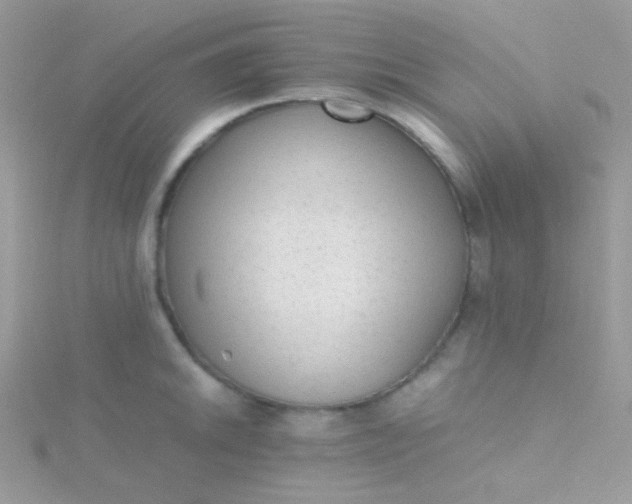 X0000115601046200911241551