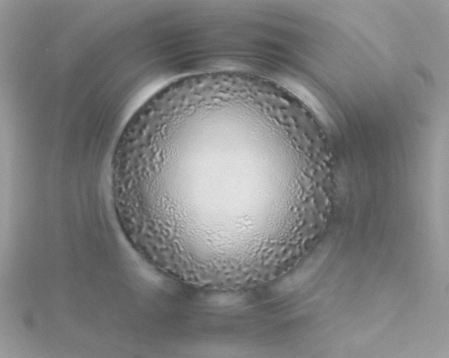 X0000115601047200911241551