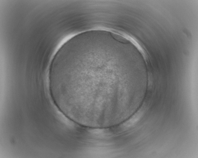 X0000115601048200911241551