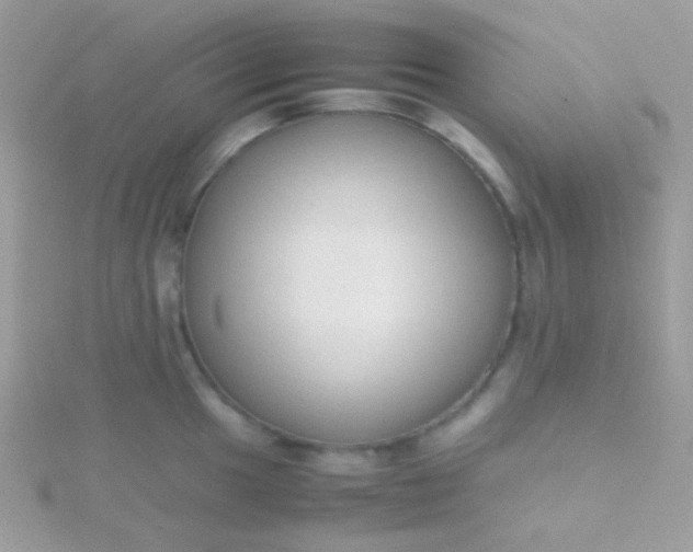 X0000115601049200911241551