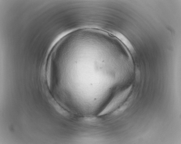 X0000115601052200911241551