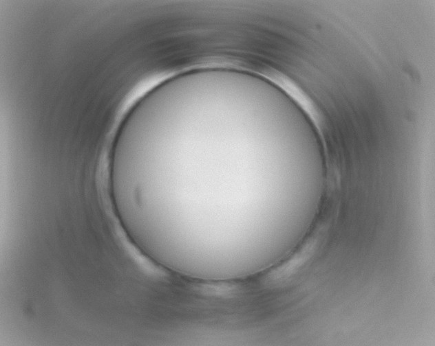 X0000115601053200911241551