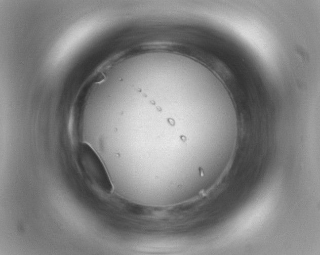 X0000115601054200911241551