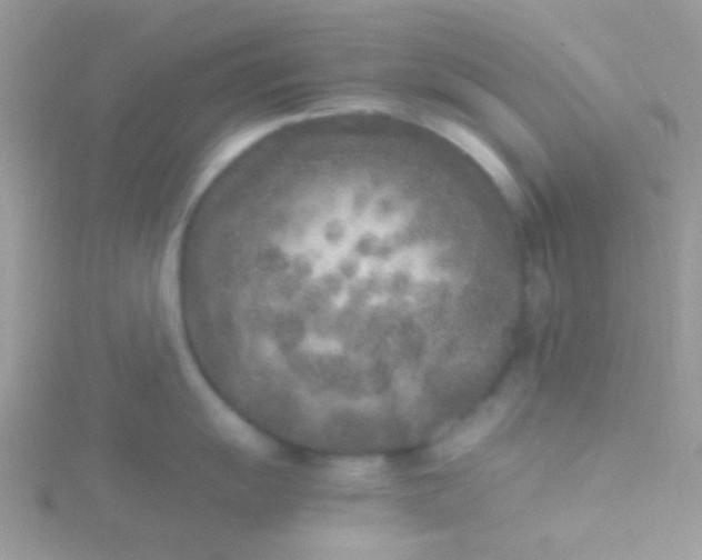 X0000115601055200911241551