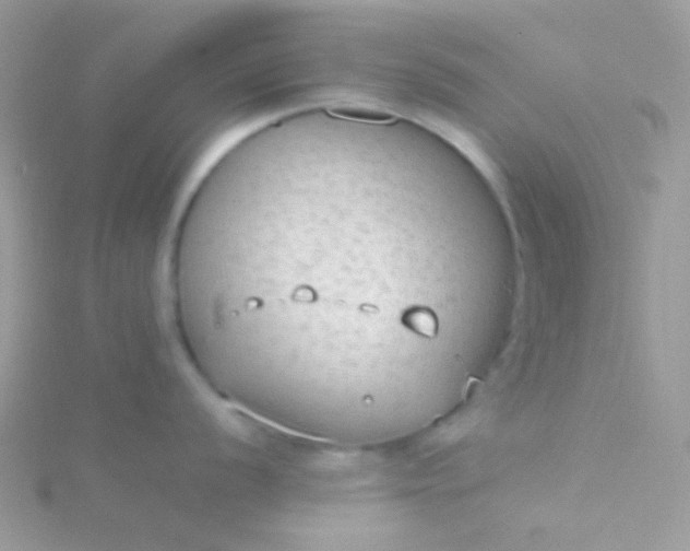 X0000115601056200911241551