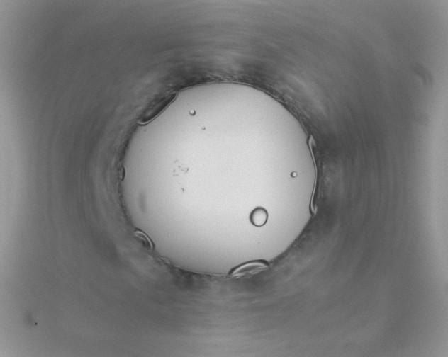 X0000115601057200911241550