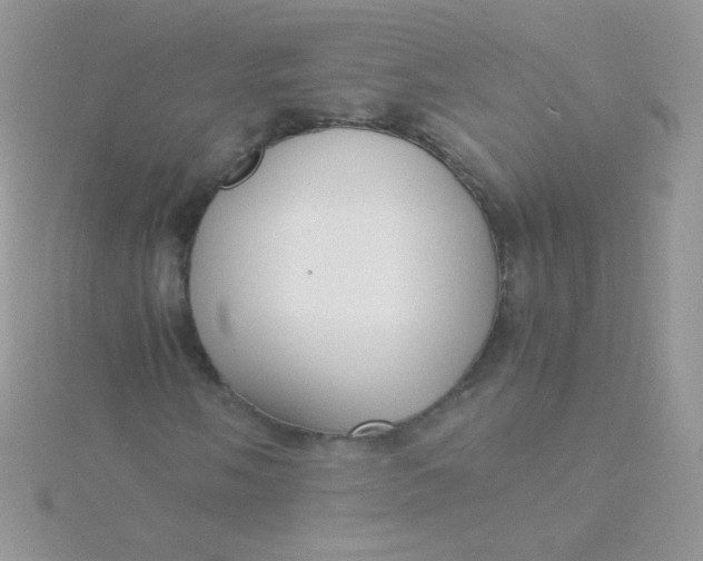 X0000115601058200911241550