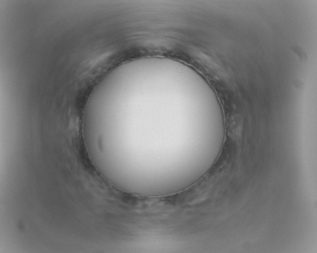 X0000115601061200911241550