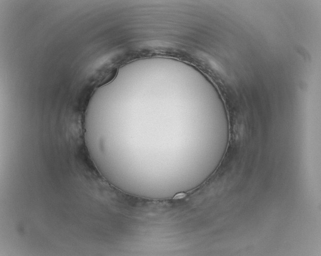 X0000115601062200911241550