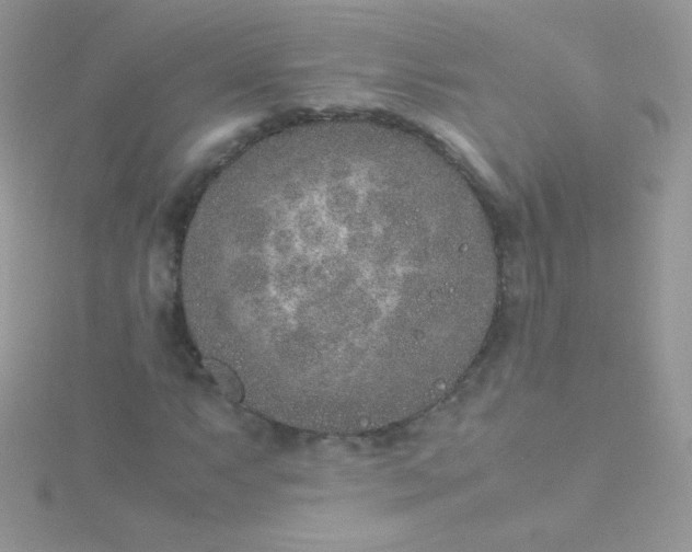 X0000115601063200911241550