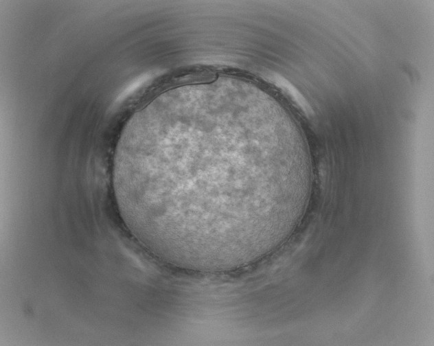 X0000115601064200911241550