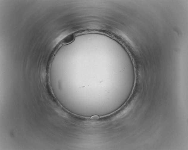 X0000115601065200911241550